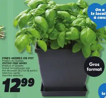 IGA POTTED FINE HERBS offer