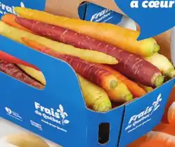 IGA MULTICOLOURED NANTES CARROTS offer