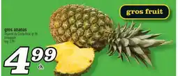 Marché Richelieu GROS FRUIT | PINEAPPLE offer