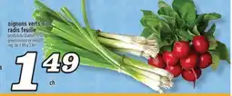 Marché Richelieu OIGNONS VERTS OU RADIS FEUILLE | GREEN ONIONS OR RADISH offer
