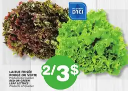 Marches Tradition RED OR GREEN LEAF LETTUCE offer
