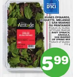 Marches Tradition BABY SPINACH, ARUGULA, ARUGULA, SAN MARINO SAN MARINO OR SPRING MIX OR SPRING MIX offer