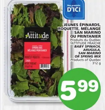 Marches Tradition BABY SPINACH, ARUGULA, ARUGULA, SAN MARINO SAN MARINO OR SPRING MIX OR SPRING MIX offer