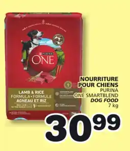 Marches Tradition PURINA ONE SMARTBLEND DOG FOOD offer