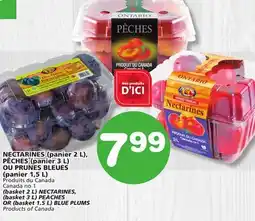 Marches Tradition NECTARINES (basket 3 L) PEACHES OR (basket 1.5 L) BLUE PLUMS offer