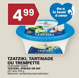 Rachelle-Bery Grocery FONTAINE SANTÉ TZATZIKI, SPREAD OR DIP offer
