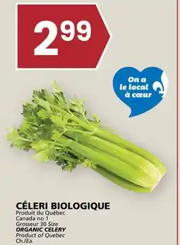 Rachelle-Bery Grocery ORGANIC CELERY offer