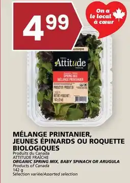 Rachelle-Bery Grocery ATTITUDE FRAÎCHE ORGANIC SPRING MIX, BABY SPINACH OR ARUGULA offer
