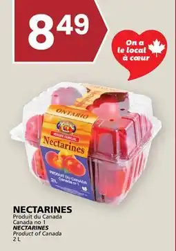 Rachelle-Bery Grocery NECTARINES offer