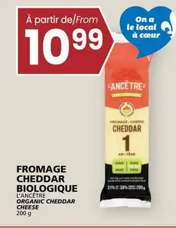 Rachelle-Bery Grocery L'ANCÊTRE ORGANIC CHEDDAR CHEESE offer