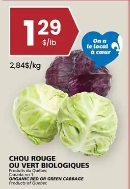 Rachelle-Bery Grocery ORGANIC RED OR GREEN CABBAGE offer