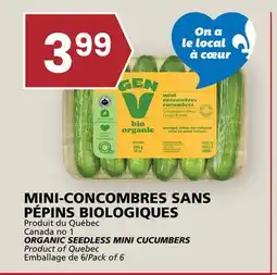 Rachelle-Bery Grocery ORGANIC SEEDLESS MINI CUCUMBERS offer