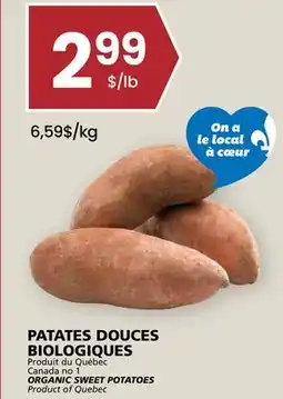 Rachelle-Bery Grocery ORGANIC SWEET POTATOES offer