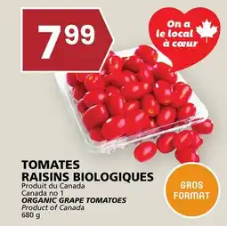 Rachelle-Bery Grocery ORGANIC GRAPE TOMATOES offer