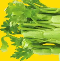 Giant Tiger Celery offer