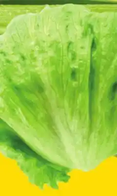 Giant Tiger iceberg lettuce offer