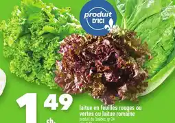 Marche Ami laitue en feuilles rouges ou vertes ou laitue romaine offer