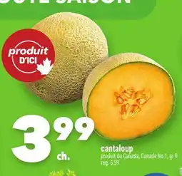 Marche Ami cantaloup offer