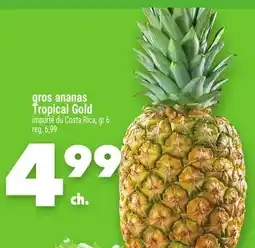 Marche Ami gros ananas Tropical Gold offer