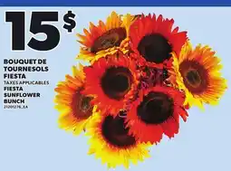 Provigo FIESTA SUNFLOWER BUNCH offer