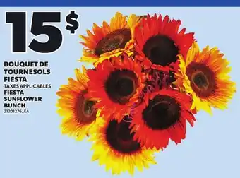 Provigo FIESTA SUNFLOWER BUNCH offer