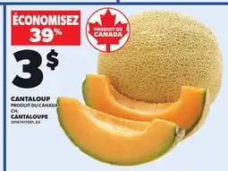 Provigo CANTALOUPE offer
