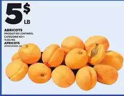 Provigo APRICOTS offer
