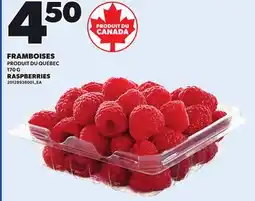 Provigo RASPBERRIES, 170 G offer