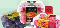 Marché Bonichoix (basket 2 L) NECTARINES, (basket 3 L) PEACHES OR (basket 1.5 L) BLUE PLUMS offer