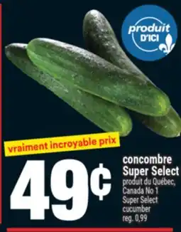 Super C CONCOMBRE SUPER SELECT | SUPER SELECT CUCUMBER offer