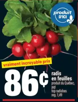Super C RADIS EN FEUILLES | TOP RADISHES offer