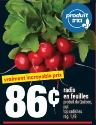 Super C RADIS EN FEUILLES | TOP RADISHES offer
