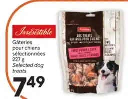 Brunet IRRESISTIBLE Gâteries pour chiens sélectionnées offer