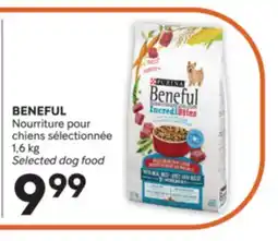 Brunet BENEFUL Nourriture pour chiens sélectionnée offer