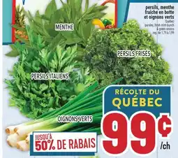 Marché Adonis PERSILS, MENTHE FRAÎCHE EN BOTTE ET OIGNONS VERTS | PARSLEY, FRESH MINT BUNCH & GREEN ONIONS offer