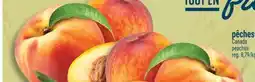 Marché Adonis PÊCHES | PEACHES offer