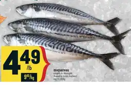 Marché Adonis MAQUEREAU | THAWED OR FROZEN MACKEREL offer