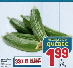 Marché Adonis Concombres libanais | lebanese cucumbers offer