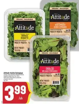 Marché Adonis Attitude fraîche biologique | Attitude fresh organic baby spinach offer