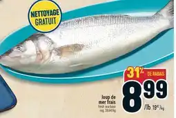 Marché Adonis Loup de mer frais | Fresh sea bass offer