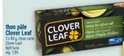 Marché Adonis Thon pâle Clover Leaf | Clover Leaf light tuna offer