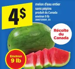 Maxi MELON D'EAU ENTIER SANS PÉPINS, 9 LB offer