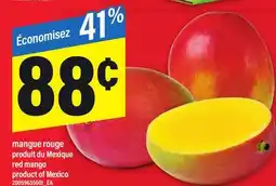 Maxi MANGUE ROUGE | RED MANGO offer