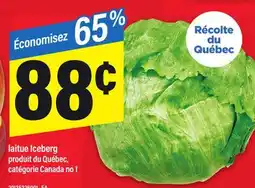 Maxi LAITUE ICEBERG offer