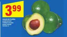 Maxi AVOCATS DES CARAÏBES | CARIBBEAN AVOCADOS offer