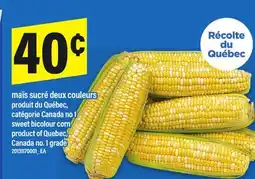 Maxi MAÏS SUCRÉ DEUX COULEURS | SWEET BICOLOUR CORN offer