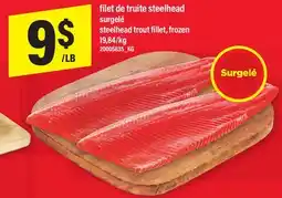 Maxi FILET DE TRUITE STEELHEAD | TROUT FILLET offer
