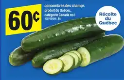 Maxi CONCOMBRES DES CHAMPS offer