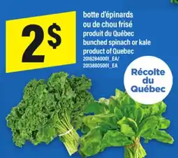 Maxi BOTTE D'ÉPINARDS OU DE CHOU FRISÉ | BUNCHED SPINACH OR KALE offer