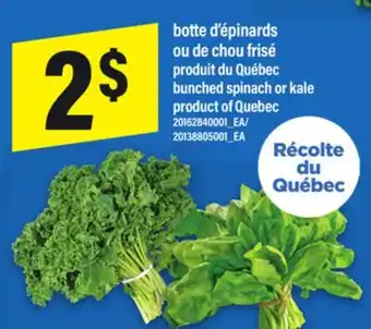 Maxi BOTTE D'ÉPINARDS OU DE CHOU FRISÉ | BUNCHED SPINACH OR KALE offer